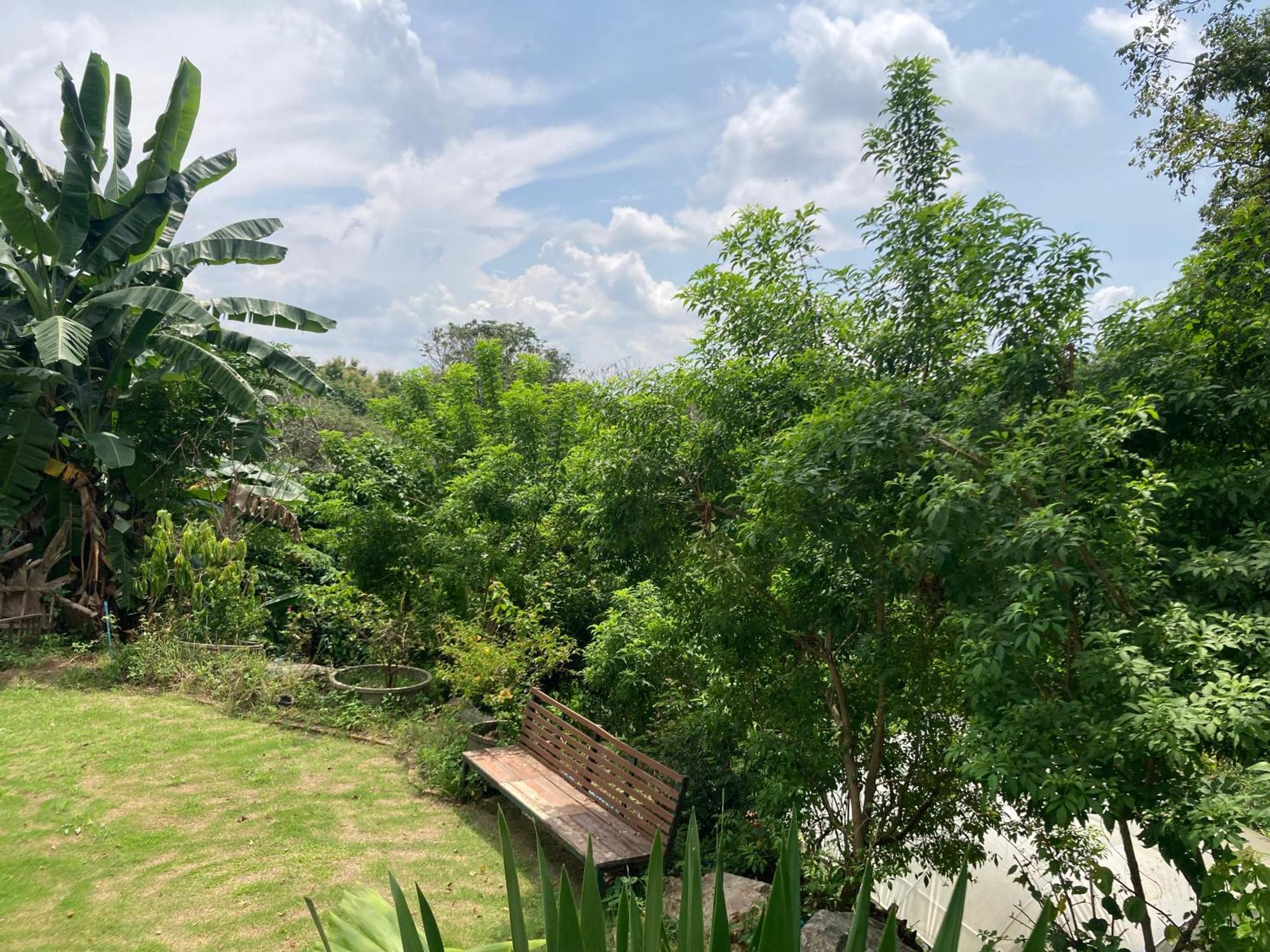 Maesa Greenery Hill Sha Mae Rim Bagian luar foto