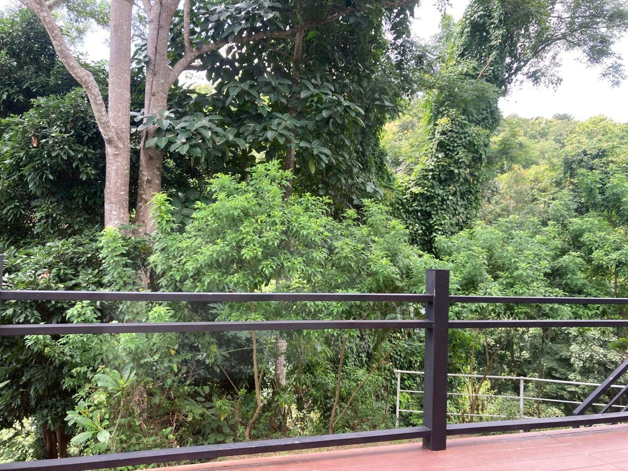 Maesa Greenery Hill Sha Mae Rim Bagian luar foto