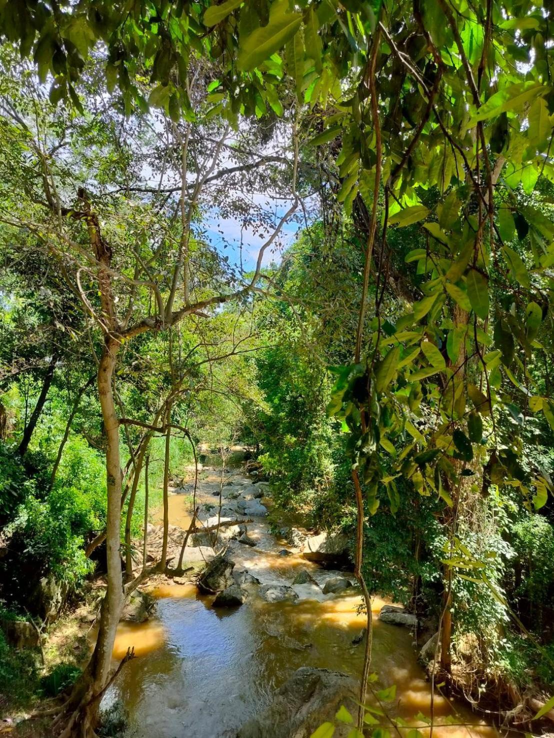 Maesa Greenery Hill Sha Mae Rim Bagian luar foto