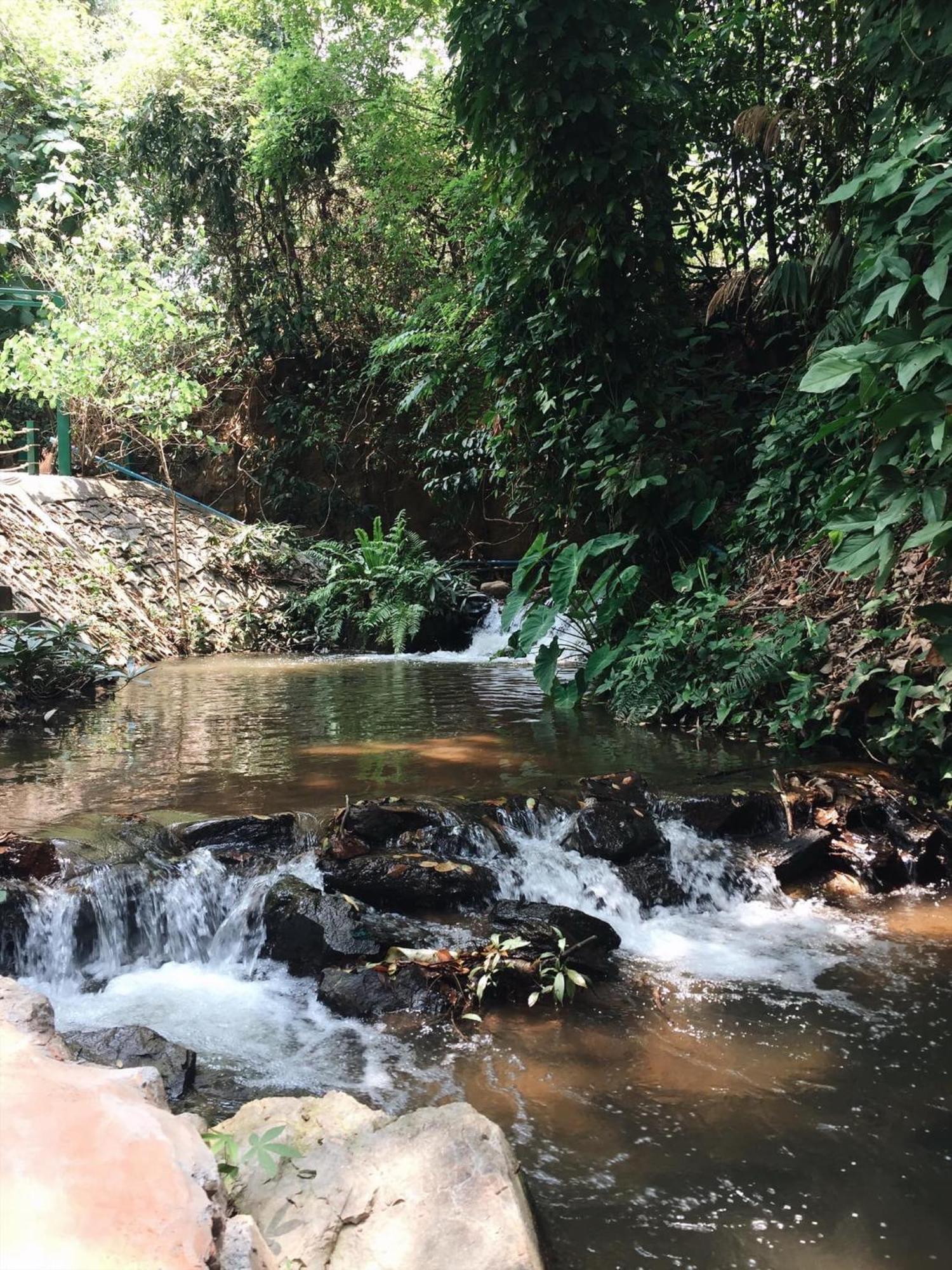 Maesa Greenery Hill Sha Mae Rim Bagian luar foto
