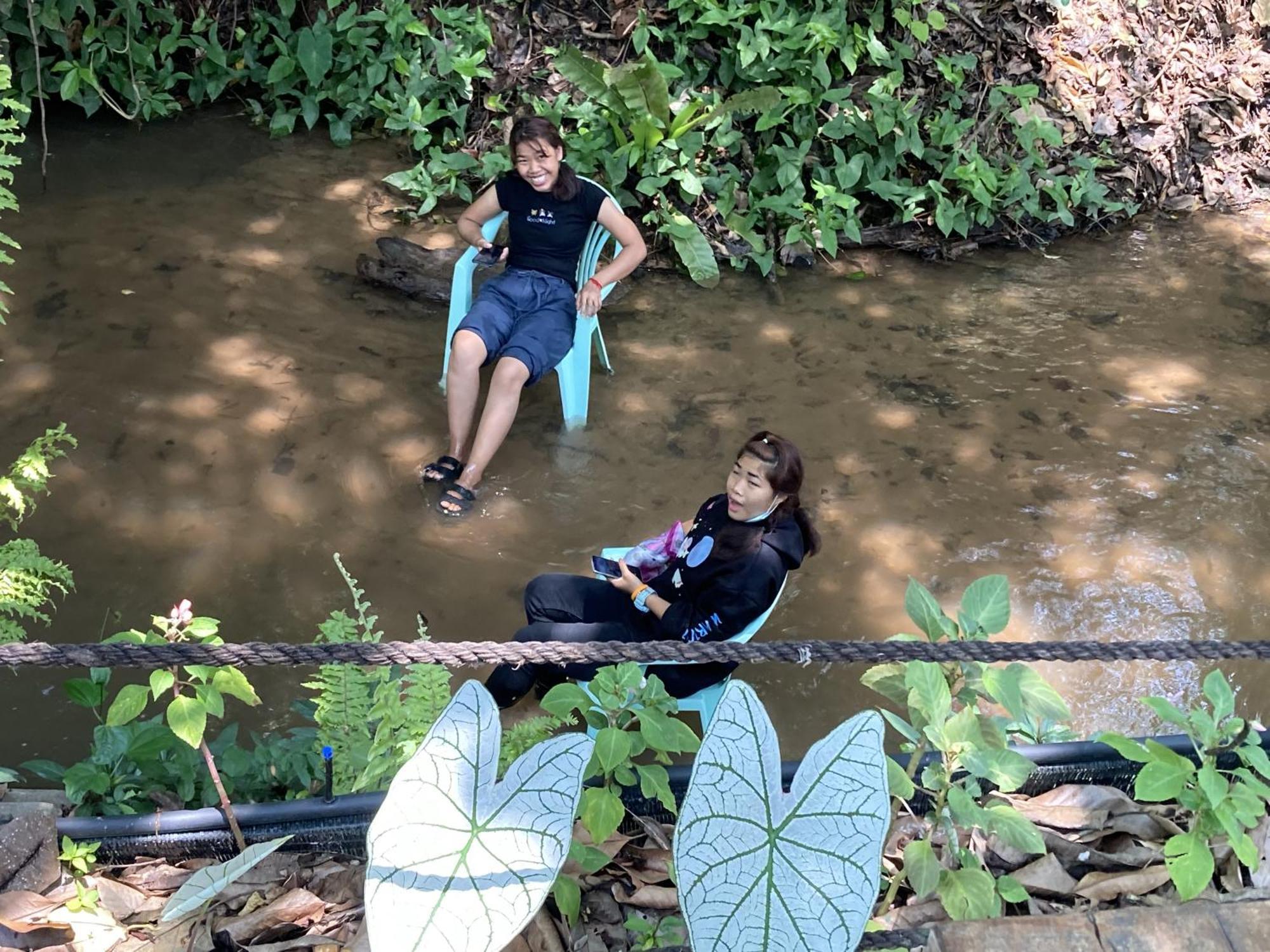 Maesa Greenery Hill Sha Mae Rim Bagian luar foto