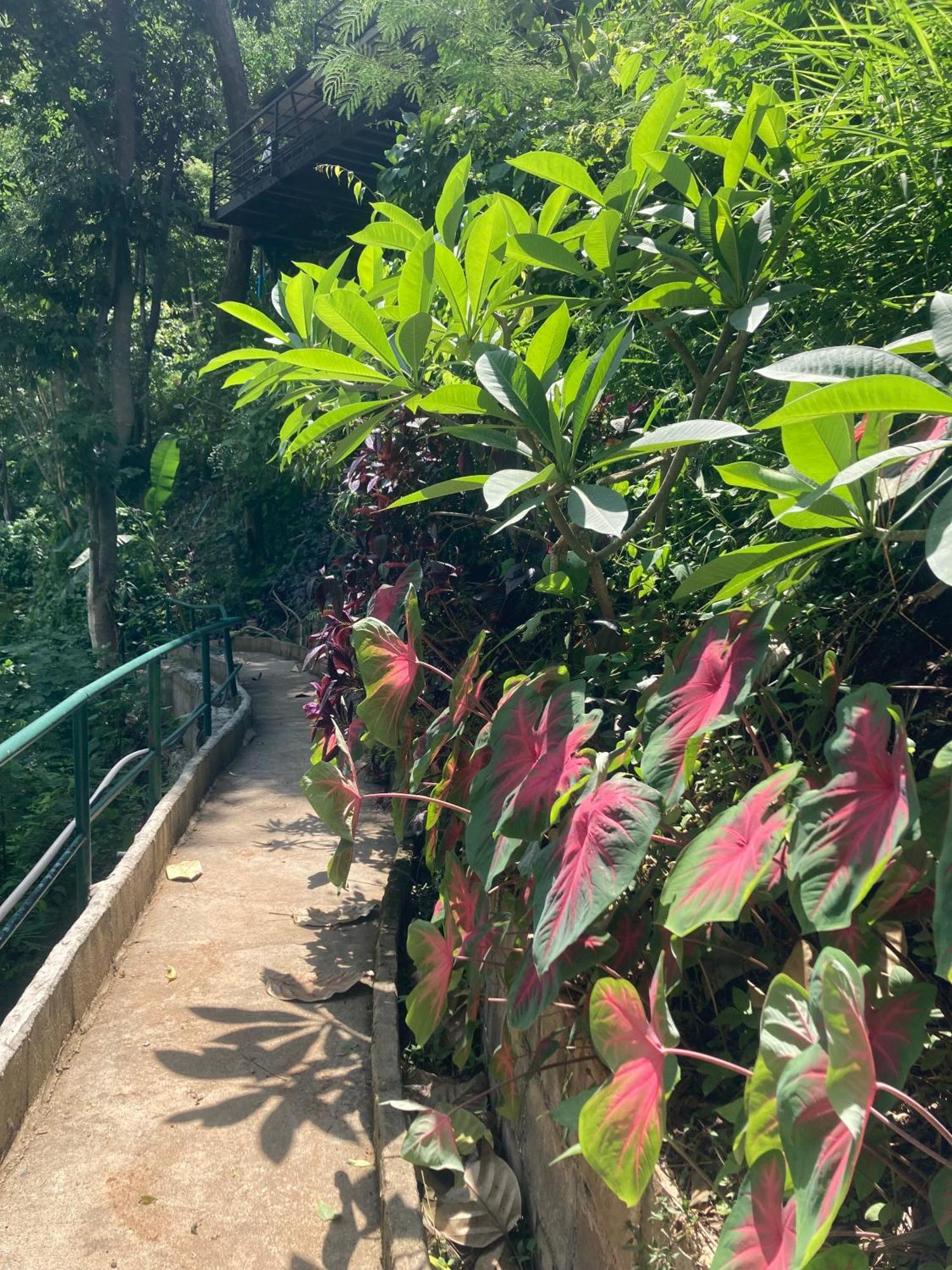 Maesa Greenery Hill Sha Mae Rim Bagian luar foto